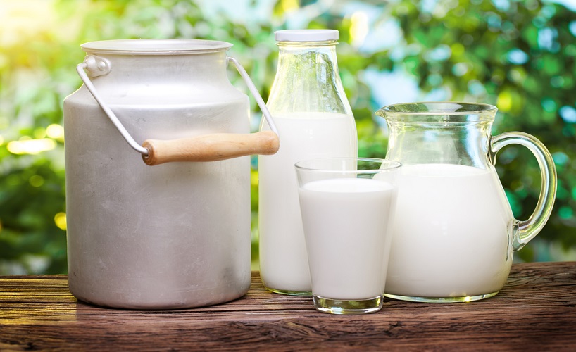 Полезные свойства молока и его польза для организма